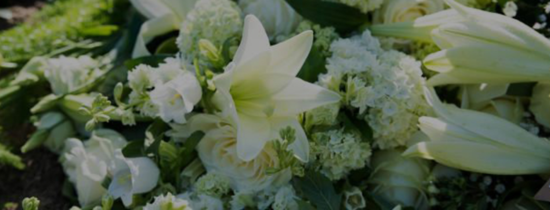 Image Slider