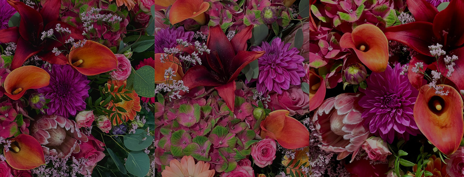 Image Slider