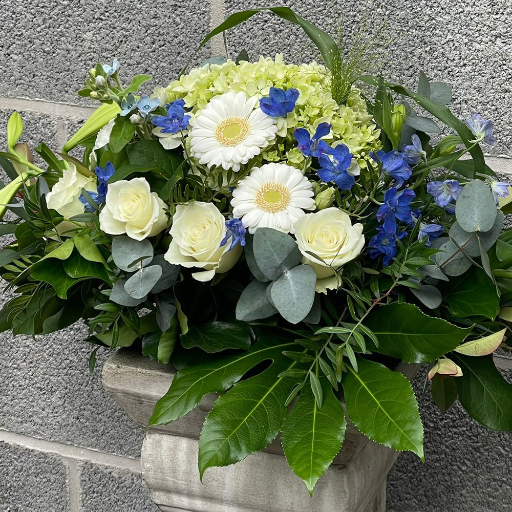 fortunas-funerailles_3