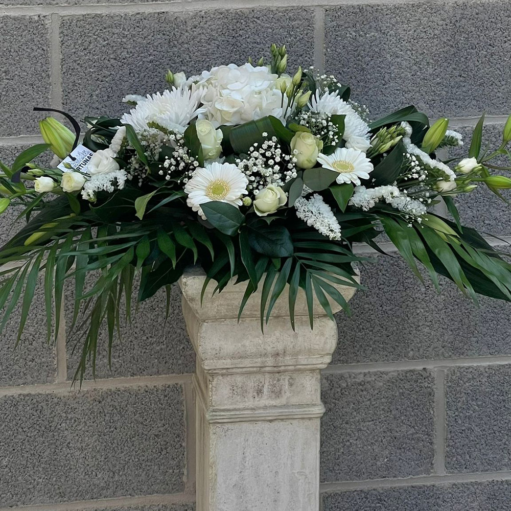 fortunas-funerailles_8