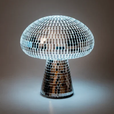 Champignon-Disco-L'expressionst-Fleurs-Fortunas-Mouscron