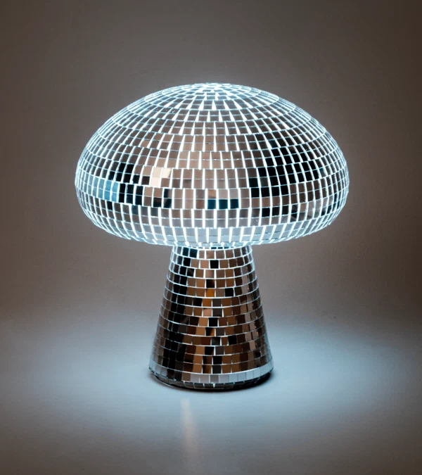 Champignon-Disco-L’expressionst-Fleurs-Fortunas-Mouscron Champignon-Disco-L’expressionst-Fleurs-Fortunas-Mouscron